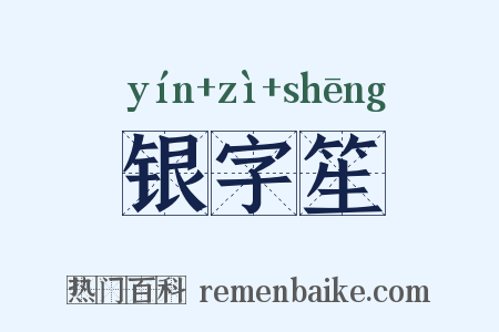银字笙是什么意思的图片